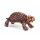 Folkmanis Dosenschildkröte
