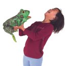 Folkmanis Metamorphose Frosch (Restposten)