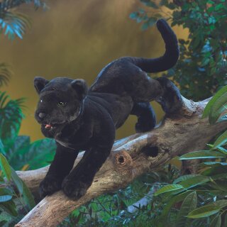 Folkmanis schwarzer Panther
